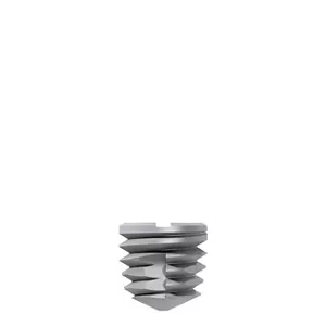 WS Titamax Impl Ti 5.0X5
