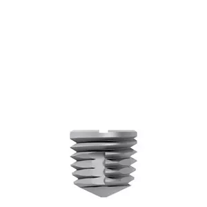 Impl Titamax WS Cortical Ti 6.0X6