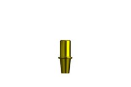 CM Abutment Try-In