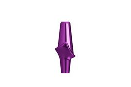 CM Anatomical Abutment Try-In