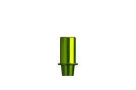 WS Abutment Try-In