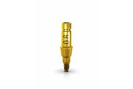 GM Abutment Try-In