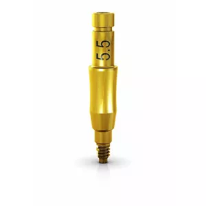 Auswahl abut. Gm, Ti, 3.3X6X5.5