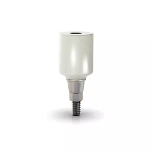 GM PROPEEK ABUTMENT REM SCREW 6.0X0.8