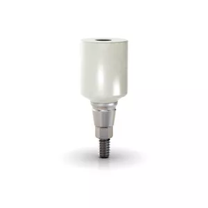 GM PROPEEK ABUTMENT REM SCREW 6.0X1.5