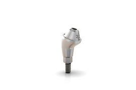 GM Mini Conical Abutment 17 2.5