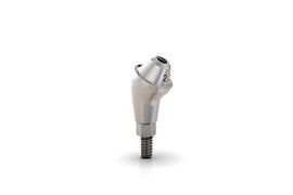 GM Mini Conical Abutment 30 2.5