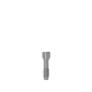 Screw Ti 4.1/4.3