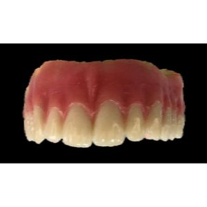 Total Prothesis Provisional Total Prothesis For Neoarch Demonstration, Polymer, N/A ...