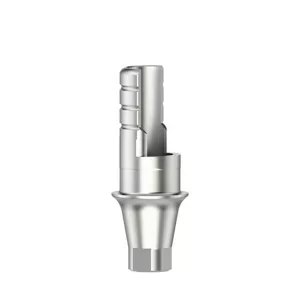 Ti-basis ASC Flex Typ1 RI