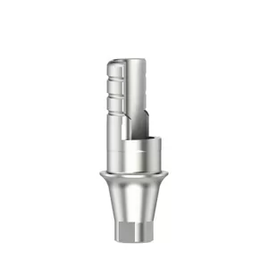 Ti-basis ASC Flex Tipo2/SC RI