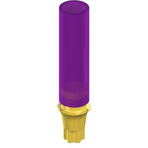 Wb Gold RB/WB Gold Abutment | Straumann Group - Straumann USA