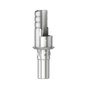 Ti-basis ASC Flex type2/SF D 3,3