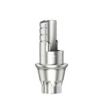 Ti-basis ASC Flex type2/SF D 4,8