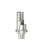  Ti-base ASCFlex 2 SF WB A01 GH 1.0
