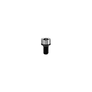 AA M1.4 PROSTHETIC SCREW