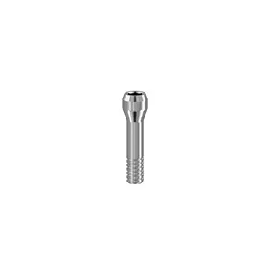 PROSTHETIC FIXING SCREW