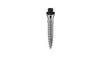 Mini implant