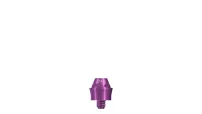 for Zygomatic Abutments