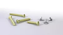 Bone Block