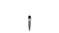 Straumann® Mini Implants