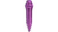 Straumann® Mini Implants