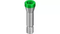 Prosthetic Screws