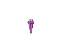 Screw-retained Abutments RB/WB