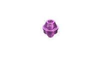 Straumann® Zygomatic Implants