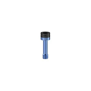 AA TL M1.6 PLURAL LAB SCREW x2