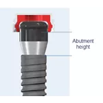 NC Novaloc® Pilar, 0°, H1, TAV