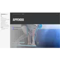 2022 Appendix
