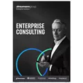 ENTERPRISE CONSULTING BROCHURE