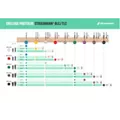 STRAUMANN® BLC/TLC and BLX/TLX