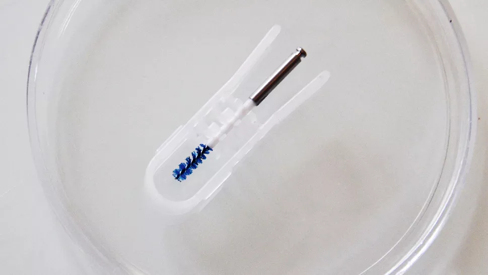 3.　Labrida BioClean™の入ったホルダー を慎重に滅菌生理食塩水につけ、 2 分間放置します。