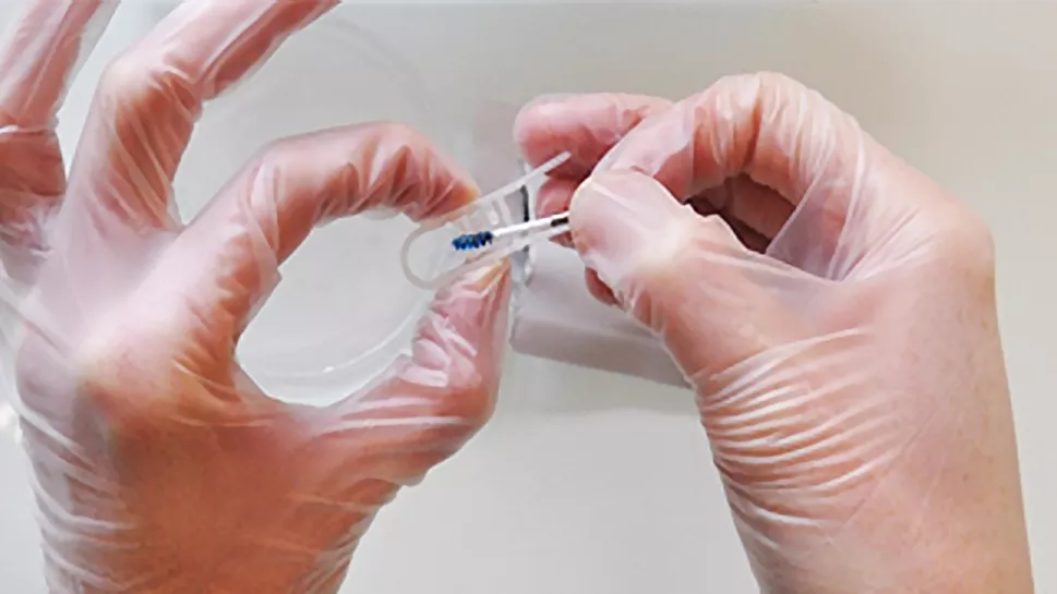 4. Labrida BioClean™ をホルダーから取り外します。キトサンフィラメントを損傷する可能性があるため、指や器具で青いブラシの毛に触れないようにしてください。