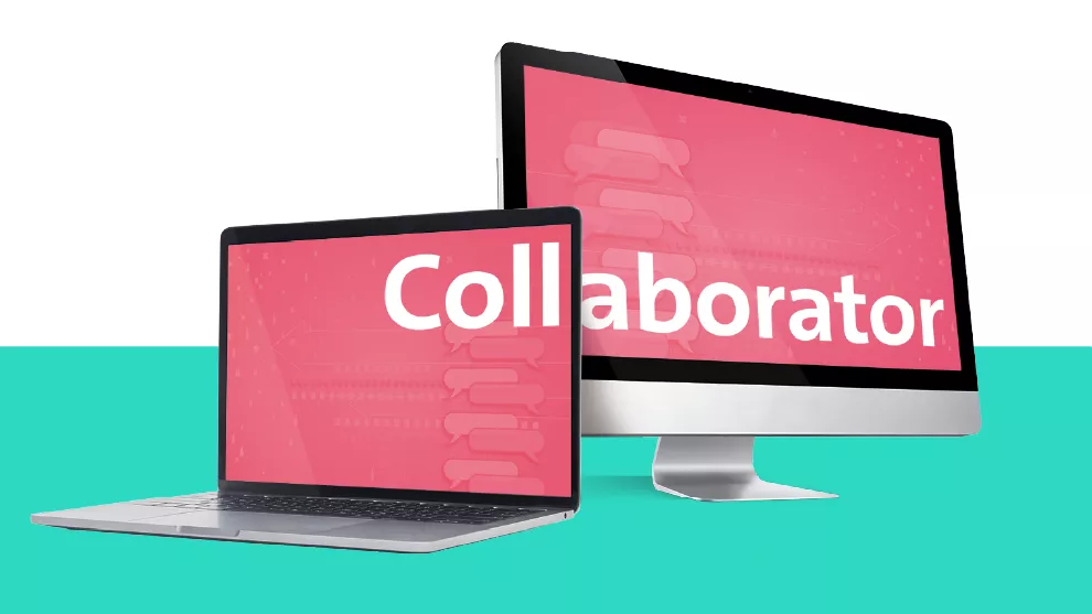 Collaborator Feature