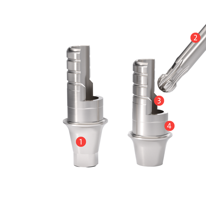 Ti-Base ASC Flex Abutments and ball torx placement instrument