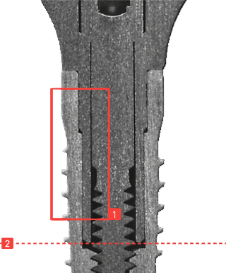 Medentika-sectioncuts-abutments compatible with Altatec® / Camlog® Screw-Line – Root-Line 2®