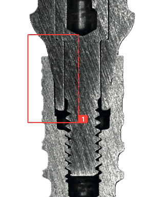 Sectioncuts-abutment fserie compatible with Nobel Biocare® / NobelActive® / NobelReplace® Conical)