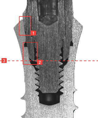 Sectioncut_abutment n-serie compatible with Straumann Tissue Level