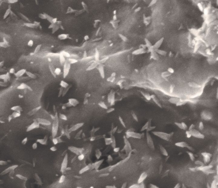 Abb. 1: Nanostrukturen auf SLActive® Oberfläche.