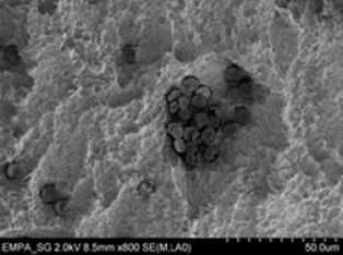 Abb. 4: Reduzierte Fibrinnetzbildung bei vergleichbarer Oberfläche ohne Nanostruktur.