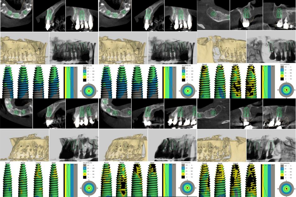 Иллюстрация 5