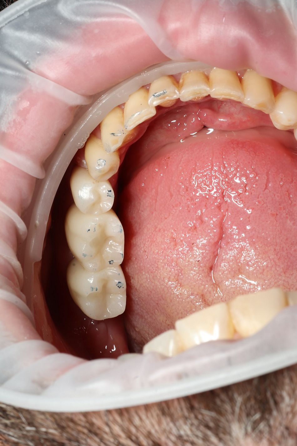 Иллюстрация 14