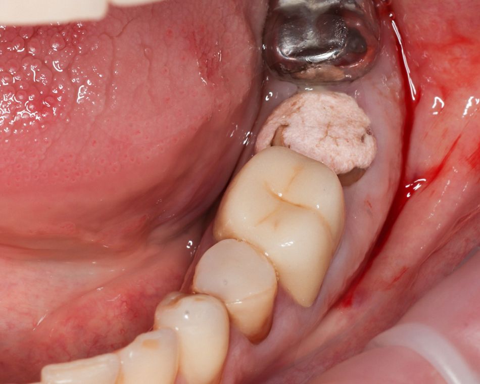 Иллюстрация 1