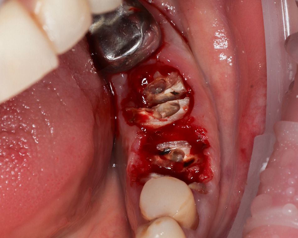 Иллюстрация 2