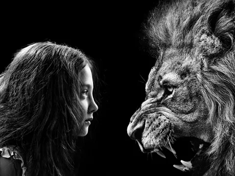 Straumann® Novaloc® Retentive System