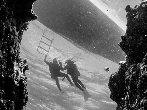 Enablement & Education