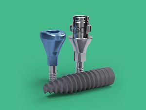 その他 Straumann Bone Level Tapered Implant 4.1 Bone Level Tapered Implant, Ø 4.1mm RC, SLActive® 8mm